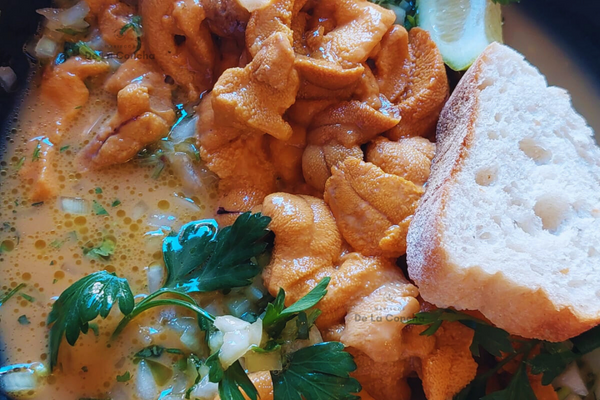 Erizos con salsa verde al matico en fuente de greda con pan