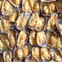 machas a la parmesana