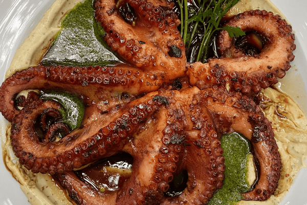 Pulpo cocido sobre una cama de hummus en un plato blanco