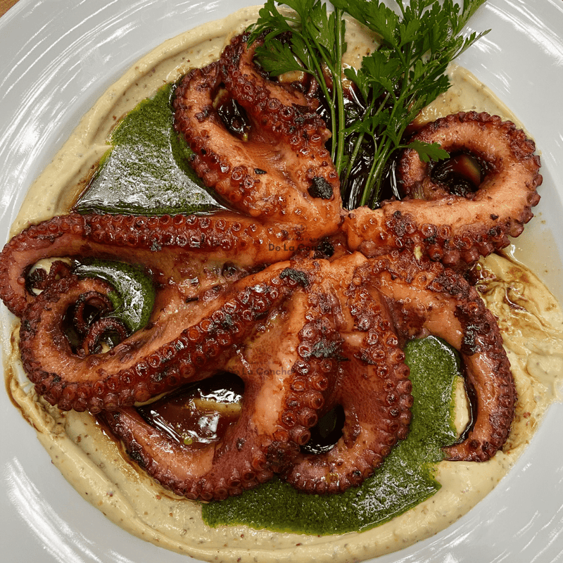 Pulpo cocido sobre una cama de hummus en un plato blanco