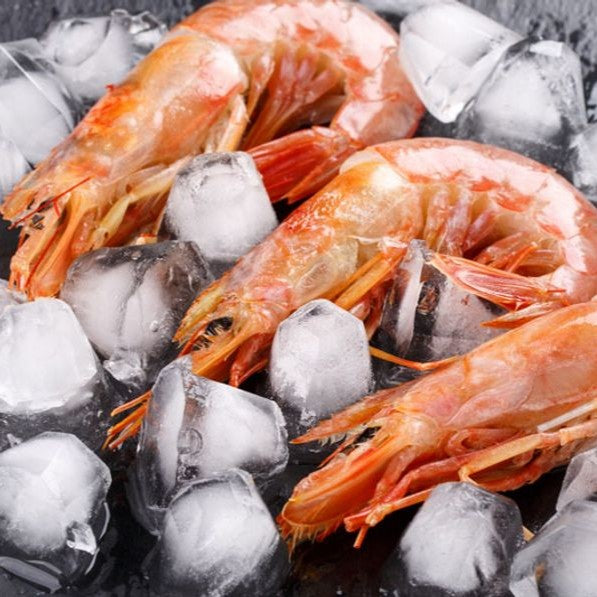 Langostinos o gambas sobre hielo