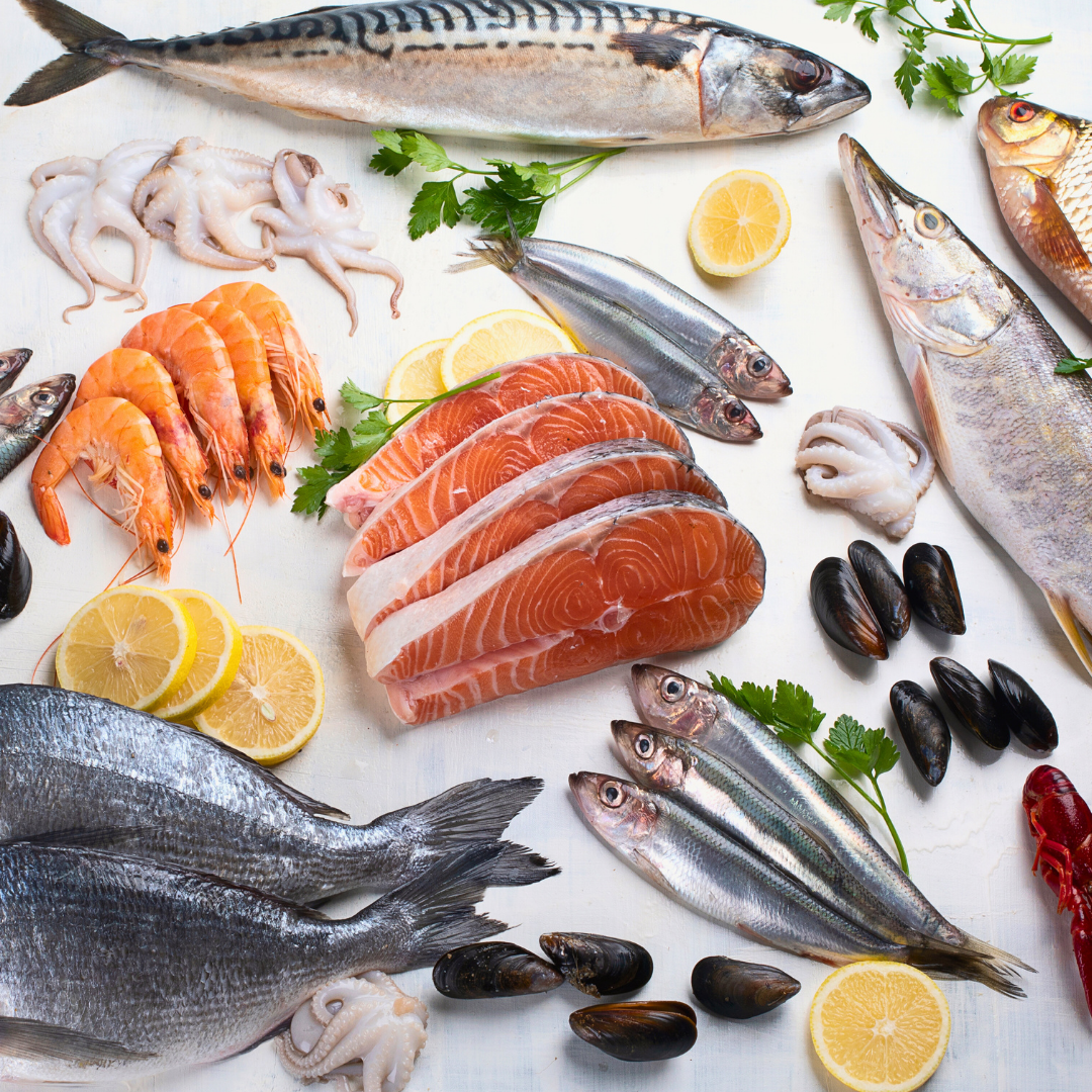 Pescados y mariscos expuestos sobre un fondo blanco