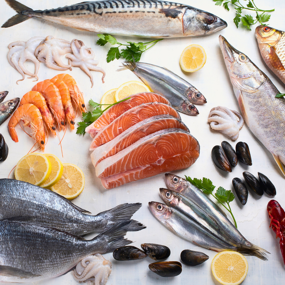 Pescados y mariscos expuestos sobre un fondo blanco