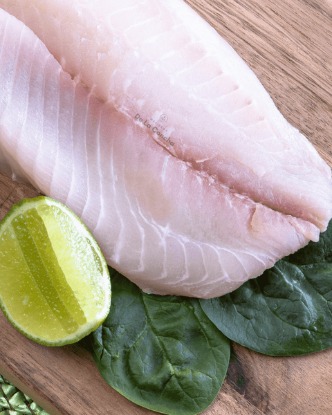 tilapia de cultivo