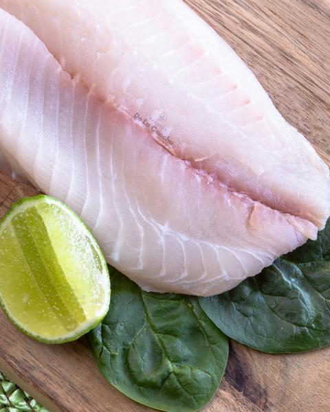 tilapia de cultivo