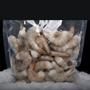Bolsa de camarón con cáscara crudo calibre mediano-grande sobre una cama de hielo