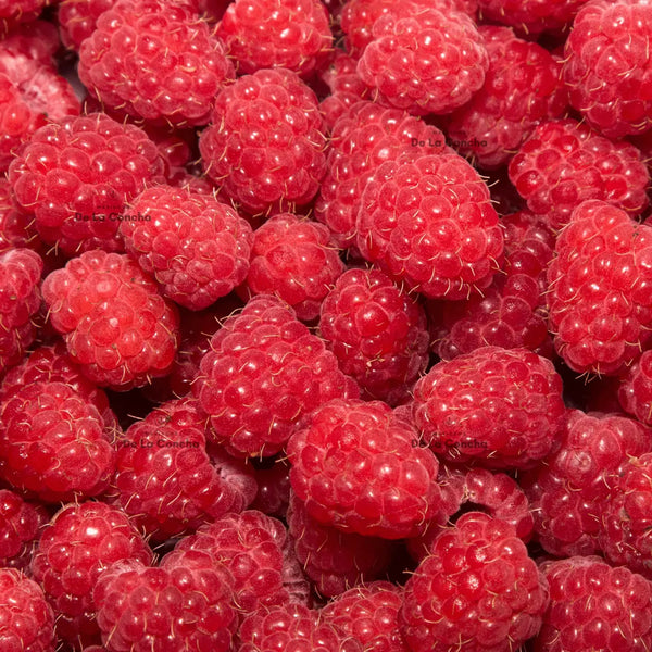 frambuesas en primer plano