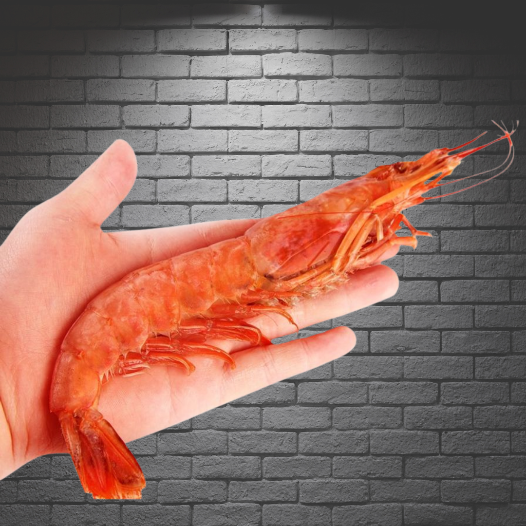 un langostino en una mano