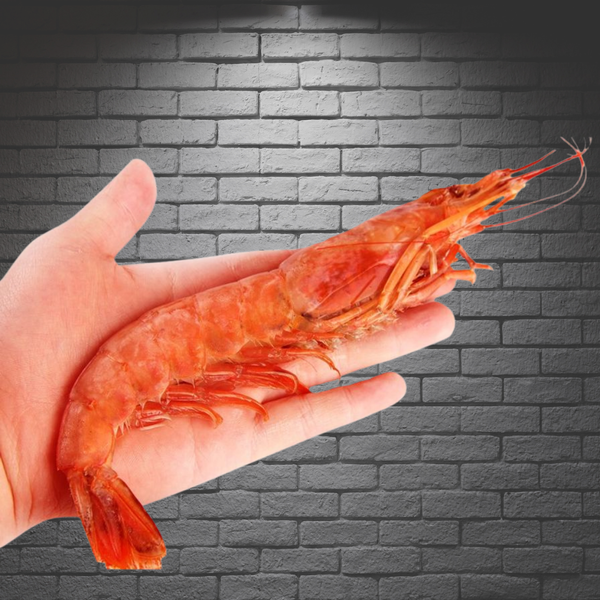un langostino en una mano