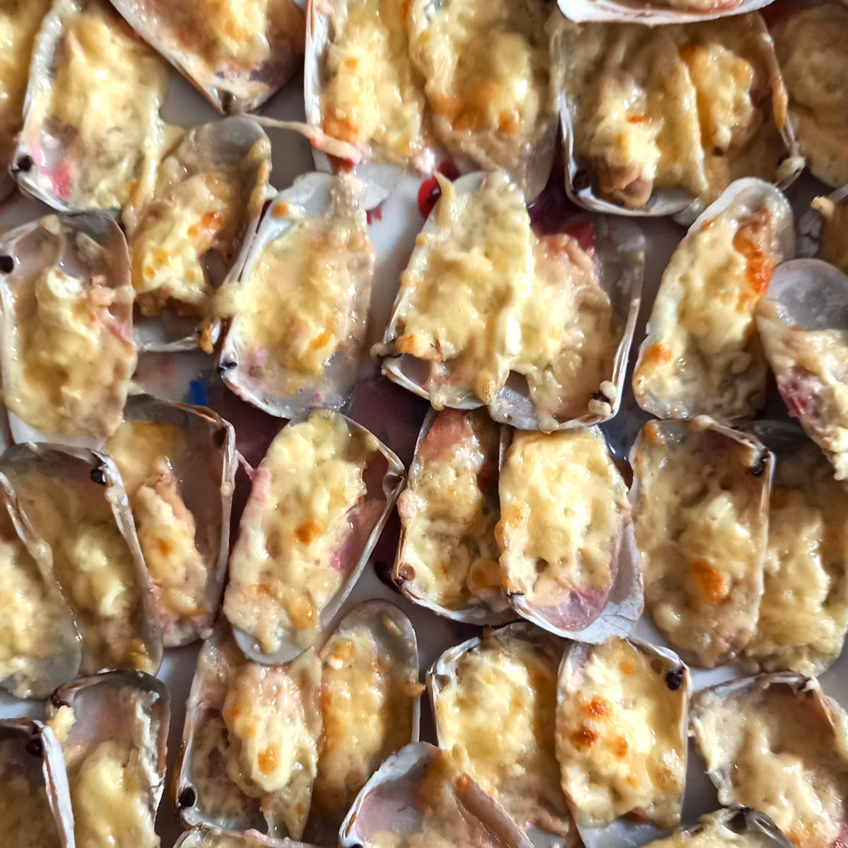 Machas a la parmesana cocinadas