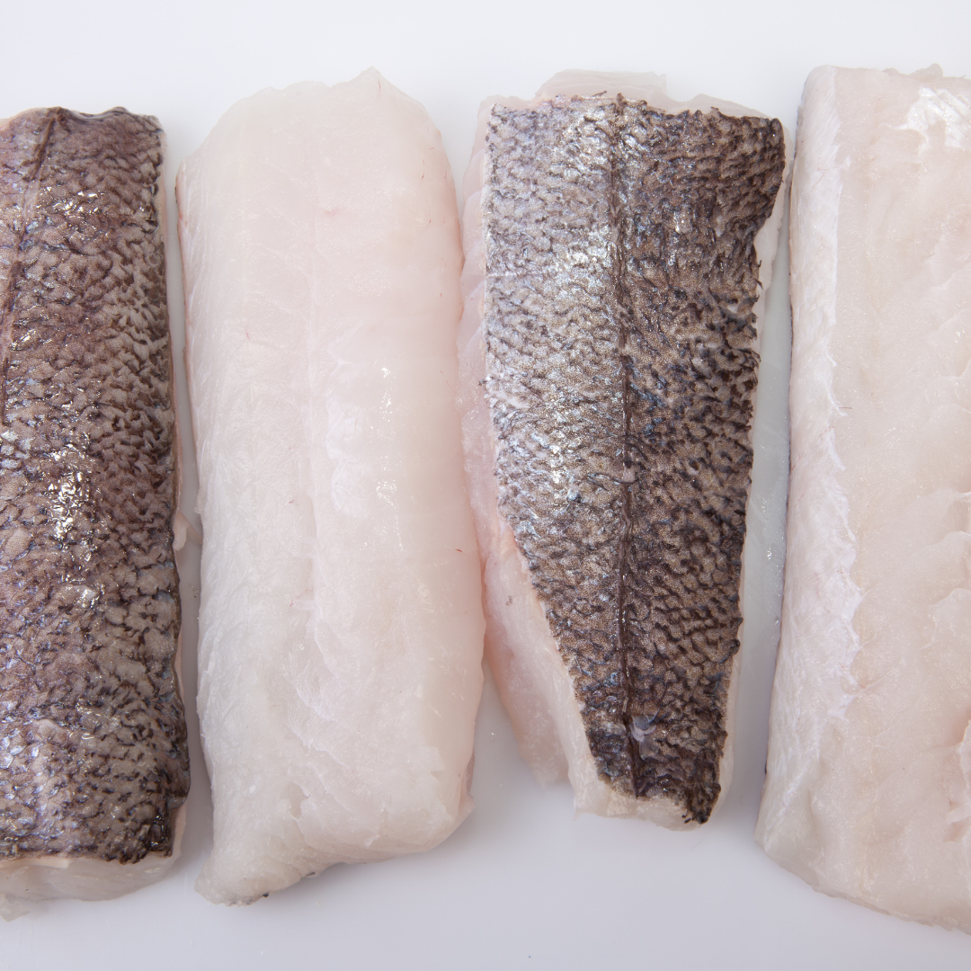 Filetes de merluza austral sobre fondo blanco