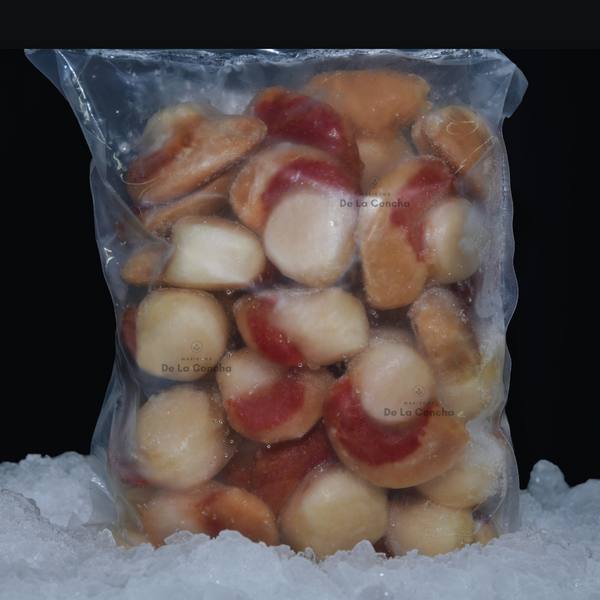 Bolsa de 1kg de Ostiones con Coral sobre una cama de hielo