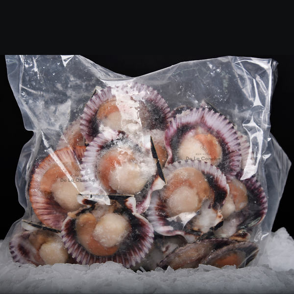 Ostión en Media Concha con Coral 1kg