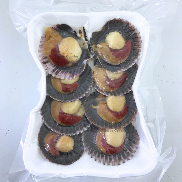 Bandeja de 8 ostiones con coral