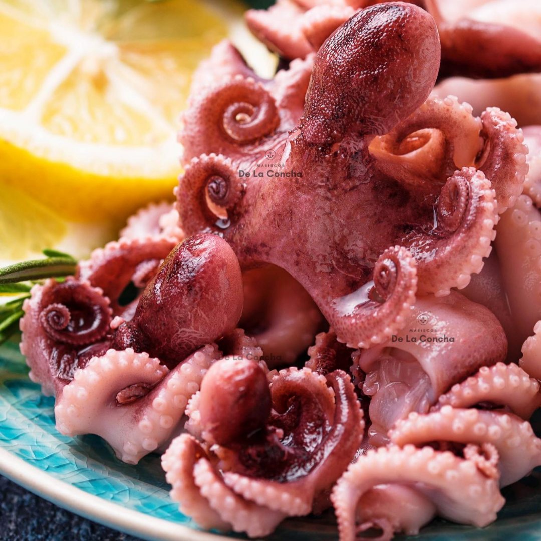 Pulpo Baby Premium 1kg