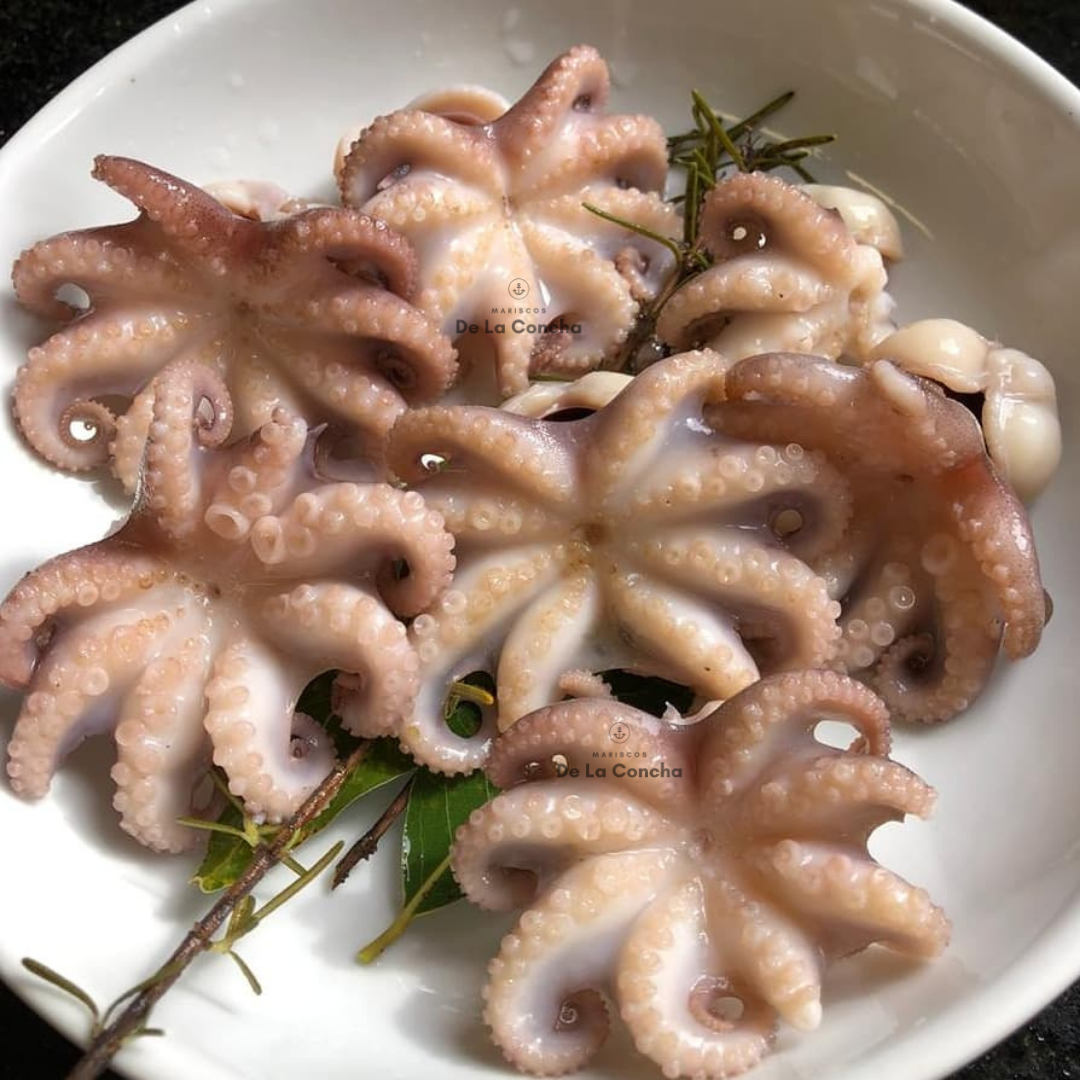 Pulpo Baby Premium 1kg