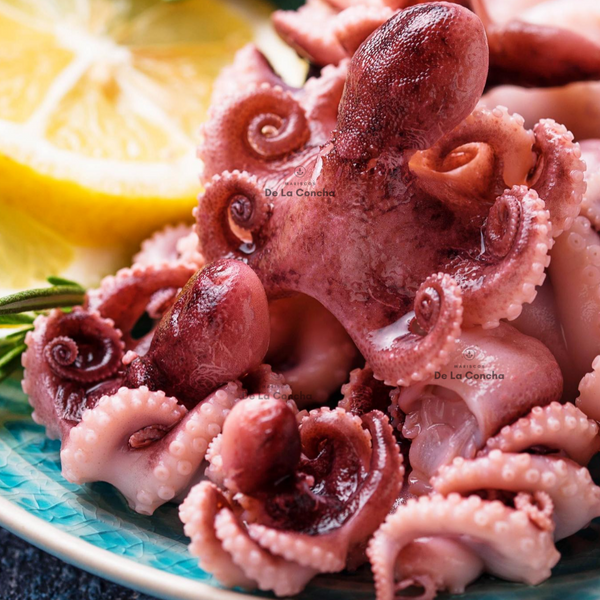 Pulpo Baby Cocido en un plato  con limon