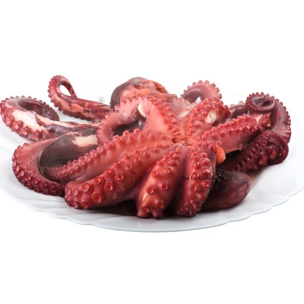 Pulpo del Norte Crudo