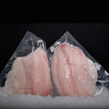 Filetes de Tilapia al vacio sobre una cama de hielo