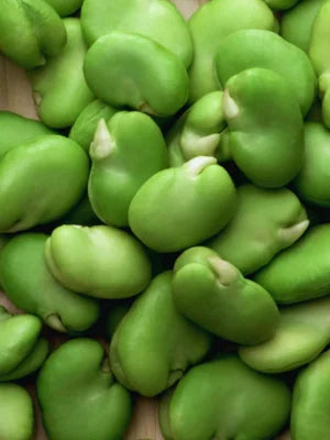 Verduras