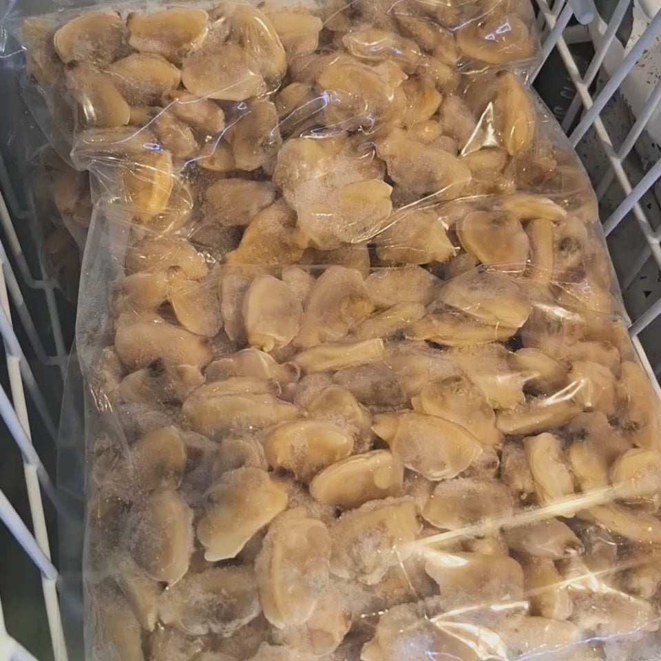 Almejas cocidas sin concha congeladas
